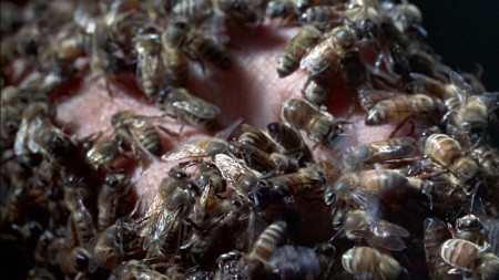 Die tödlichen Bienen Die tödlichen Bienen