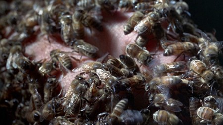 Die tdlichen Bienen