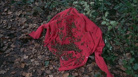 Die tödlichen Bienen Die tödlichen Bienen