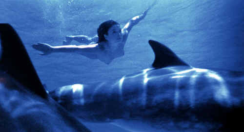 Dolphins - Lara (Julia Brendler) bei den Delphinen
