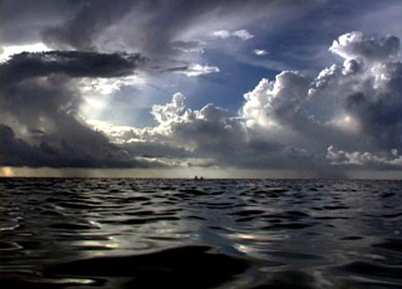 Open Water