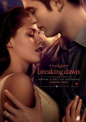 Breaking Dawn - Bis(s) zum Ende der Nacht (1)