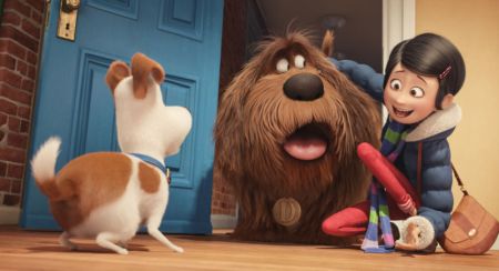 Pets (The Secret Life of Pets)