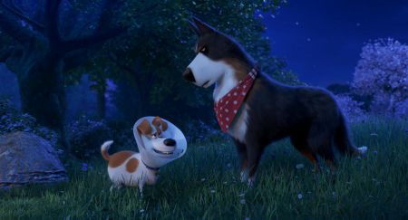 Pets 2 (The Secret Life of Pets 2)