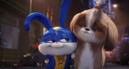 Pets 2 (The Secret Life of Pets 2)