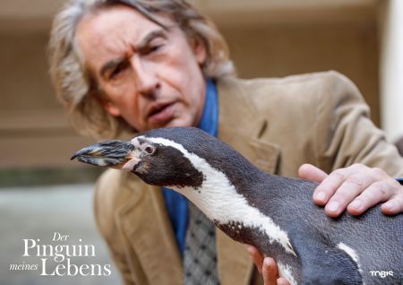 Der Pinguin meines Lebens