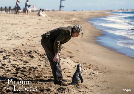 Der Pinguin meines Lebens
