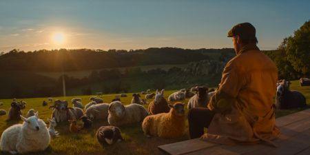 Glennkill: Ein Schafskrimi