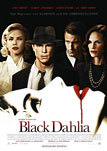 Black Dahlia