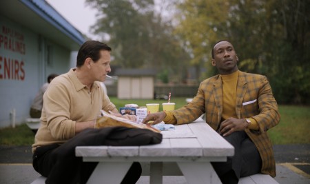 Green Book: Eine besondere Freundschaft