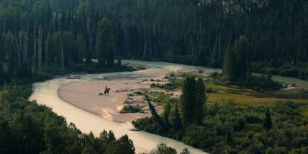 Untamed (mit Eric Bana und Lily Santiago)