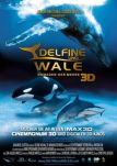 Delfine & Wale 3D: Nomaden der Meere