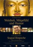 Mitgefühl, Weisheit und Humor