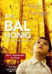 Bal - Honig