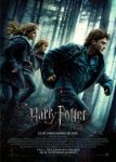 Harry Potter und die Heiligtmer des Todes (1)
