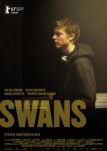 Swans