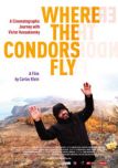 Where the Condors fly 