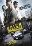 Brick Mansions