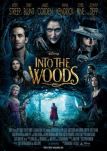 Into the Woods - Filmposter
