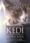 Kedi - Von Katzen und Menschen