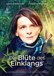 Die Blte des Einklangs