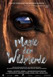 Magie der Wildpferde