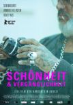 Schönheit & Vergänglichkeit