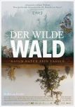 Der Wilde Wald  Natur Natur sein lassen