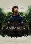 Animalia