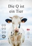 Die Q ist ein Tier