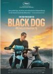Black Dog - Weggefährten