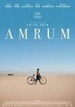 Amrum
